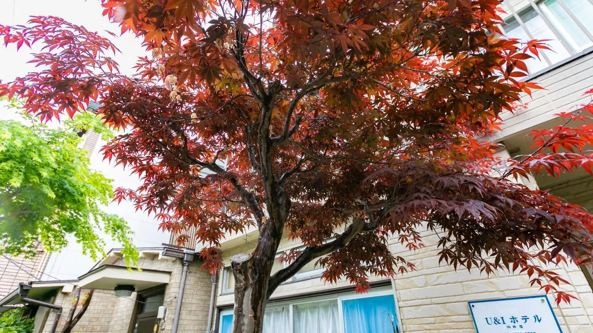 Villa 22, Itabashi, Entire House For Rent Tokyo Giappone
